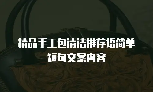 精品手工包清洁推荐语简单短句文案内容