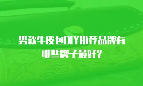 男款牛皮包DIY推荐品牌有哪些牌子最好？