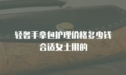 轻奢手拿包护理价格多少钱合适女士用的