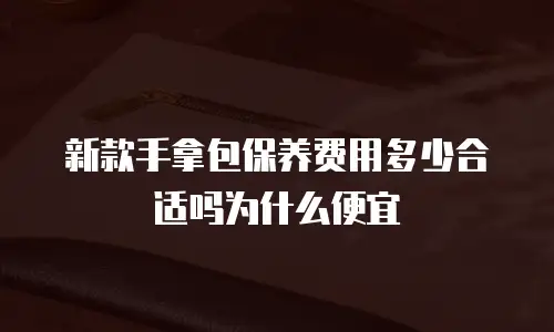 新款手拿包保养费用多少合适吗为什么便宜
