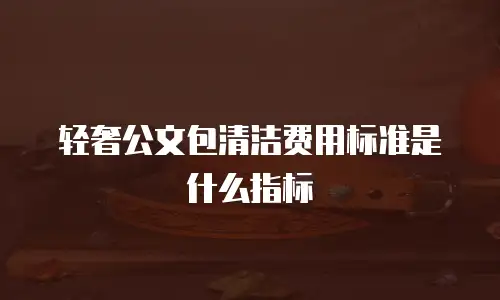 轻奢公文包清洁费用标准是什么指标