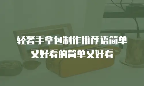 轻奢手拿包制作推荐语简单又好看的简单又好看