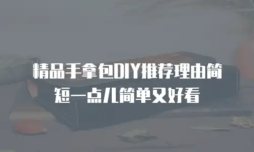 精品手拿包DIY推荐理由简短一点儿简单又好看