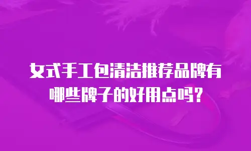 女式手工包清洁推荐品牌有哪些牌子的好用点吗？
