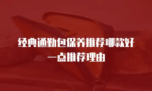 经典通勤包保养推荐哪款好一点推荐理由