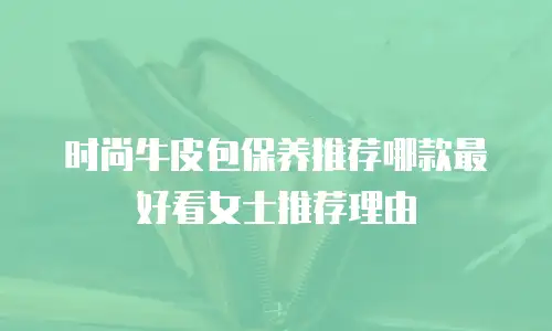 时尚牛皮包保养推荐哪款最好看女士推荐理由