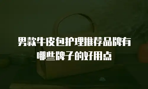 男款牛皮包护理推荐品牌有哪些牌子的好用点