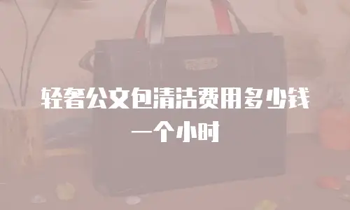 轻奢公文包清洁费用多少钱一个小时