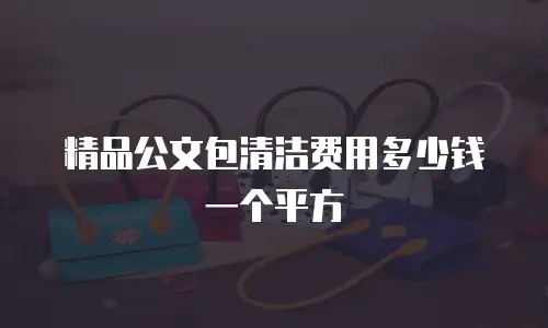 精品公文包清洁费用多少钱一个平方