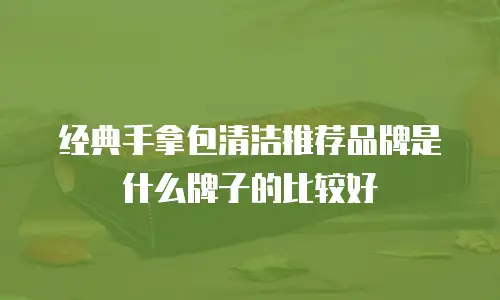 经典手拿包清洁推荐品牌是什么牌子的比较好