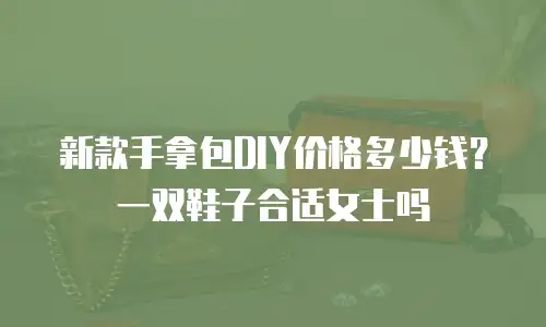 新款手拿包DIY价格多少钱？一双鞋子合适女士吗