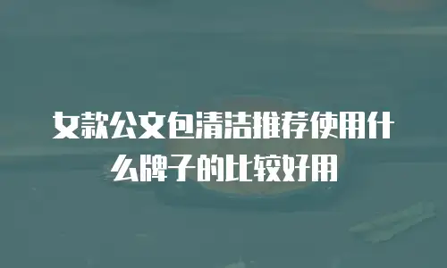 女款公文包清洁推荐使用什么牌子的比较好用