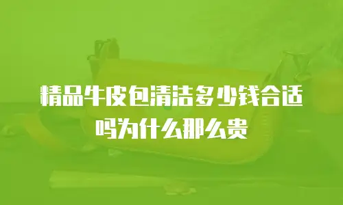 精品牛皮包清洁多少钱合适吗为什么那么贵