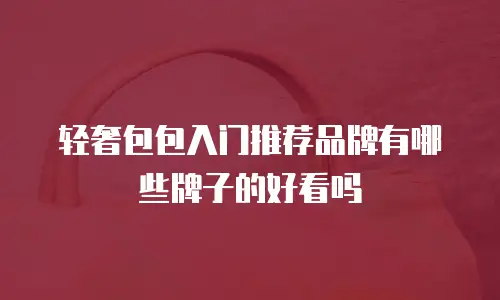 轻奢包包入门推荐品牌有哪些牌子的好看吗