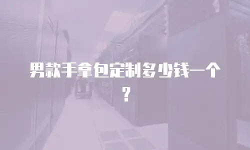 男款手拿包定制多少钱一个？