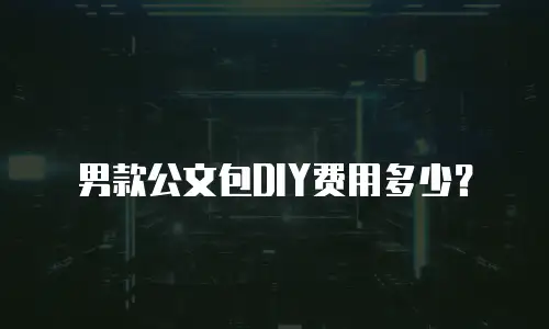 男款公文包DIY费用多少？