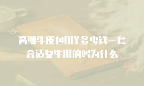 高端牛皮包DIY多少钱一套合适女生用的吗为什么