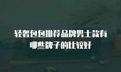 轻奢包包推荐品牌男士款有哪些牌子的比较好