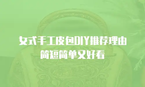 女式手工皮包DIY推荐理由简短简单又好看