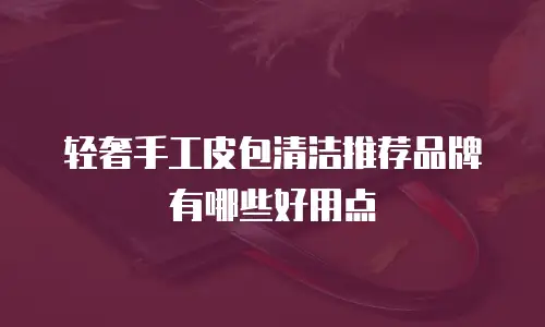 轻奢手工皮包清洁推荐品牌有哪些好用点