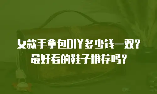 女款手拿包DIY多少钱一双？最好看的鞋子推荐吗？