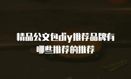 精品公文包diy推荐品牌有哪些推荐的推荐