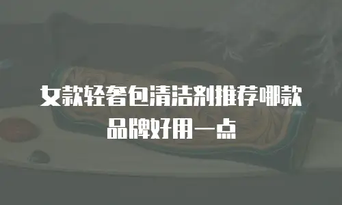 女款轻奢包清洁剂推荐哪款品牌好用一点