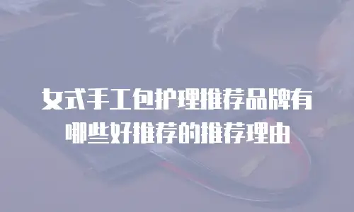 女式手工包护理推荐品牌有哪些好推荐的推荐理由
