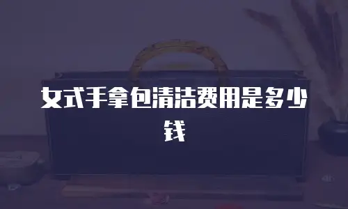 女式手拿包清洁费用是多少钱