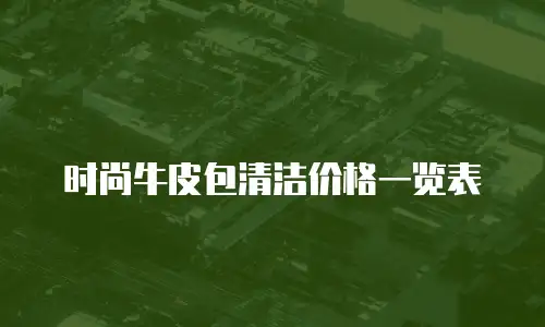 时尚牛皮包清洁价格一览表