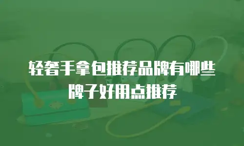 轻奢手拿包推荐品牌有哪些牌子好用点推荐