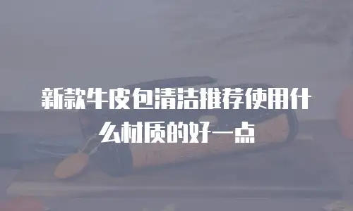 新款牛皮包清洁推荐使用什么材质的好一点