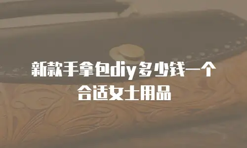 新款手拿包diy多少钱一个合适女士用品