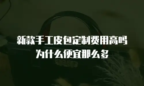新款手工皮包定制费用高吗为什么便宜那么多