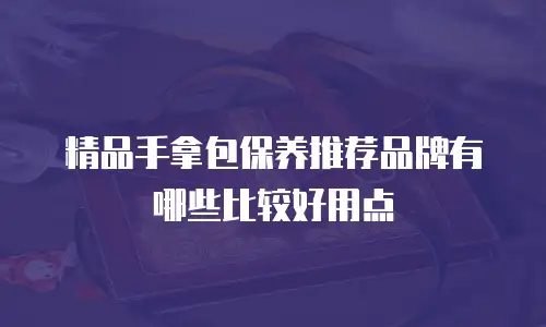 精品手拿包保养推荐品牌有哪些比较好用点