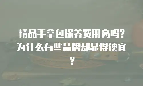 精品手拿包保养费用高吗？为什么有些品牌却显得便宜？