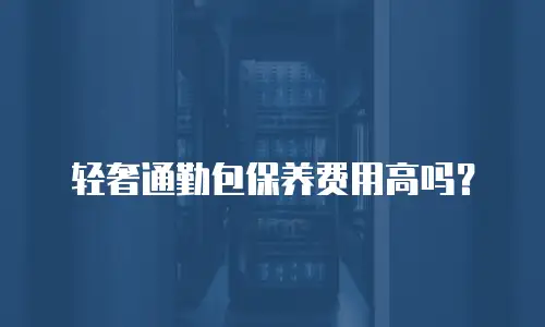 轻奢通勤包保养费用高吗？