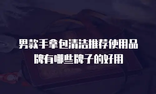 男款手拿包清洁推荐使用品牌有哪些牌子的好用