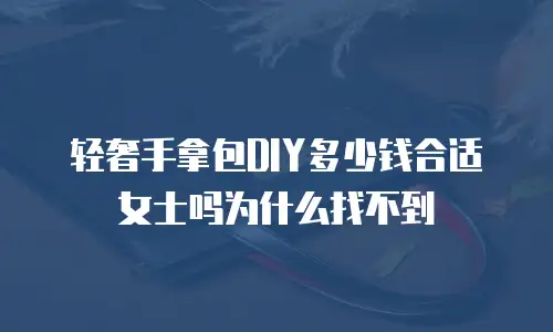 轻奢手拿包DIY多少钱合适女士吗为什么找不到