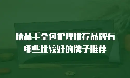 精品手拿包护理推荐品牌有哪些比较好的牌子推荐