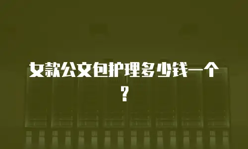 女款公文包护理多少钱一个?