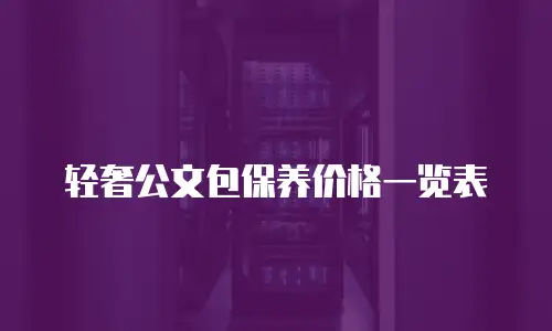 轻奢公文包保养价格一览表