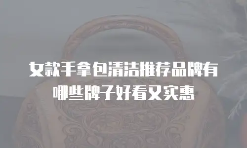 女款手拿包清洁推荐品牌有哪些牌子好看又实惠