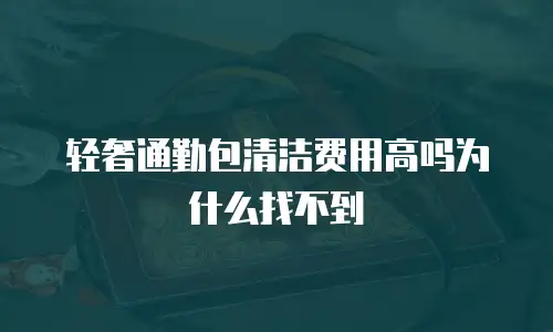 轻奢通勤包清洁费用高吗为什么找不到
