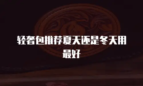 轻奢包推荐夏天还是冬天用最好