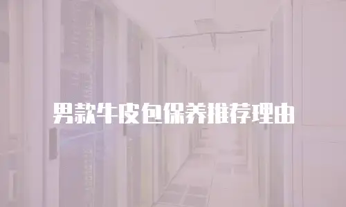 男款牛皮包保养推荐理由