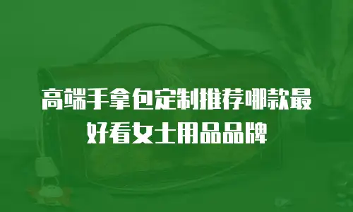 高端手拿包定制推荐哪款最好看女士用品品牌