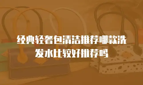 经典轻奢包清洁推荐哪款洗发水比较好推荐吗