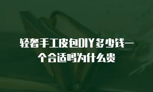 轻奢手工皮包DIY多少钱一个合适吗为什么贵