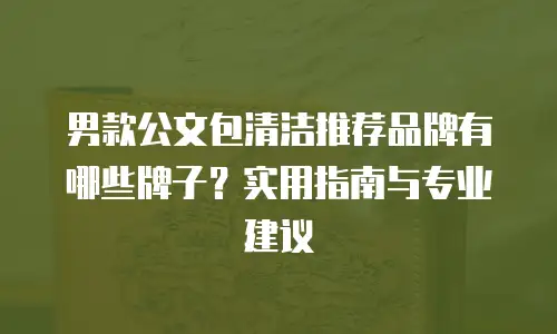 男款公文包清洁推荐品牌有哪些牌子？实用指南与专业建议